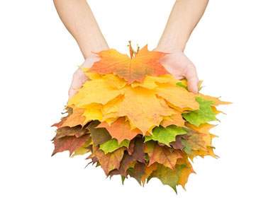 Have Fun with Cheap or Free Fall Activities